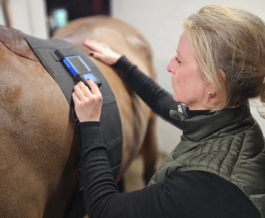 miHealth voor paarden en mensen